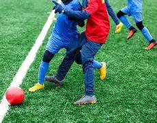 多夫比克助,罗马,击败帕尔马,db体育入口,db体育官网,db体育app下载,db体育平台官网