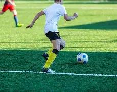 拜仁轻松击,败费雷堡,db体育app下载,db体育入口,db体育官网,db体育app下载,db体育平台官网