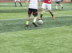 体育,下载,产品,db体育入口,db体育官网,db体育app下载,db体育平台官网