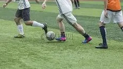 db体育app下载 产品 084310 054