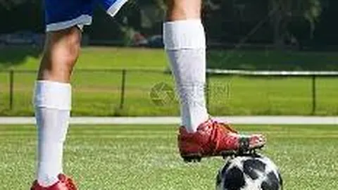 db体育app下载 产品 085136 agl