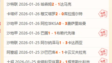 哈兰德打破盖德-穆勒纪录，欧洲国家队最快进球诞生