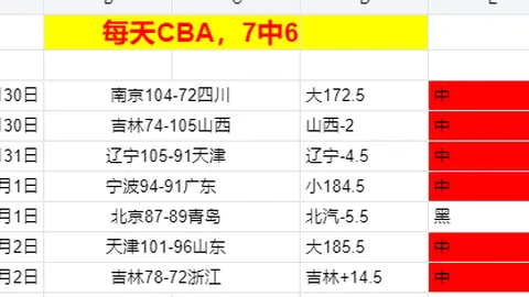 2025澳新女足世界杯：探寻最佳射手背后的历史数据与真相